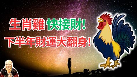 屬雞2023幸運色|【屬雞 2023 幸運色】2023屬雞幸運色盡在一覽表！吸睛的獨門轉。